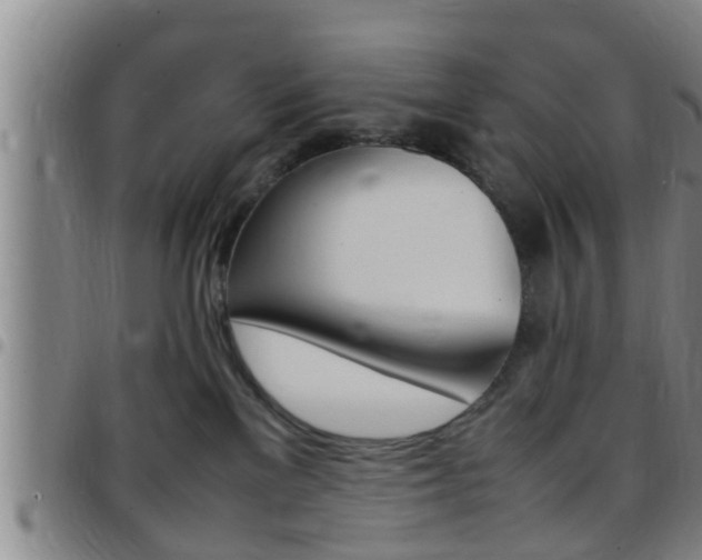 X0000097880137200803140951