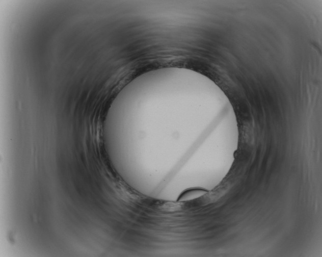 X0000097880138200803140951