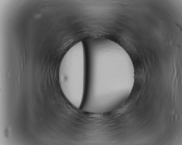 X0000097880139200803140951