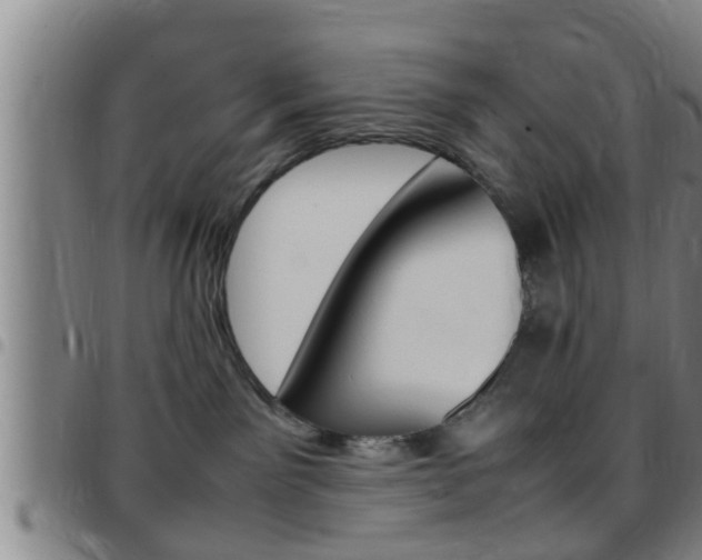 X0000097880141200803140951