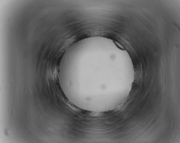 X0000097880142200803140951