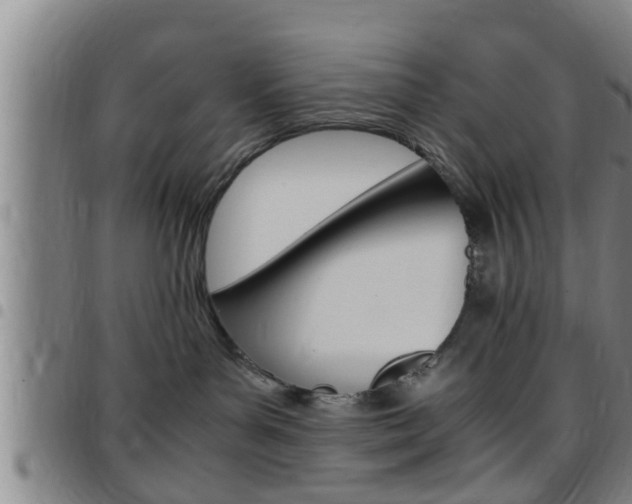 X0000097880143200803140951