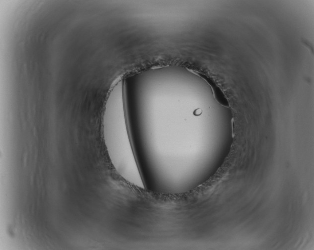 X0000097880144200803140951