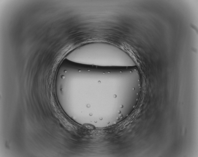 X0000097880145200803140950