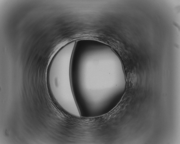 X0000097880148200803140950