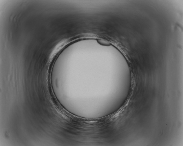 X0000097880151200803140950