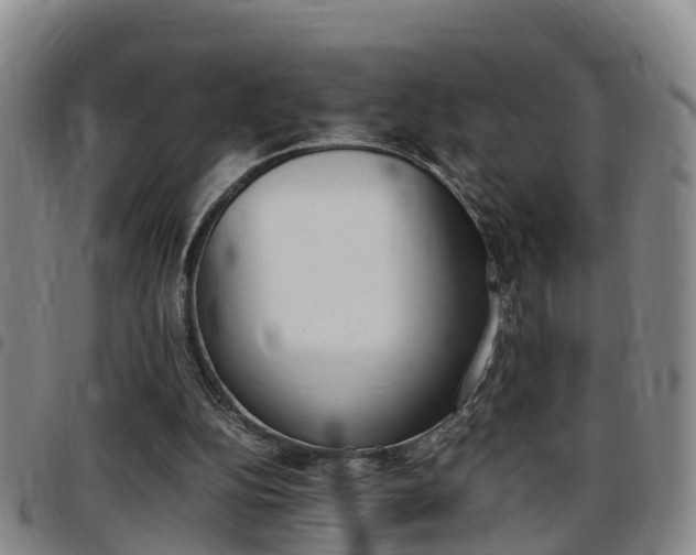 X0000097880152200803140950