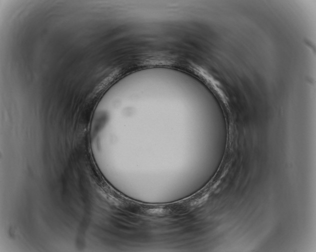 X0000097880153200803140950