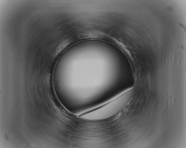 X0000097880154200803140950