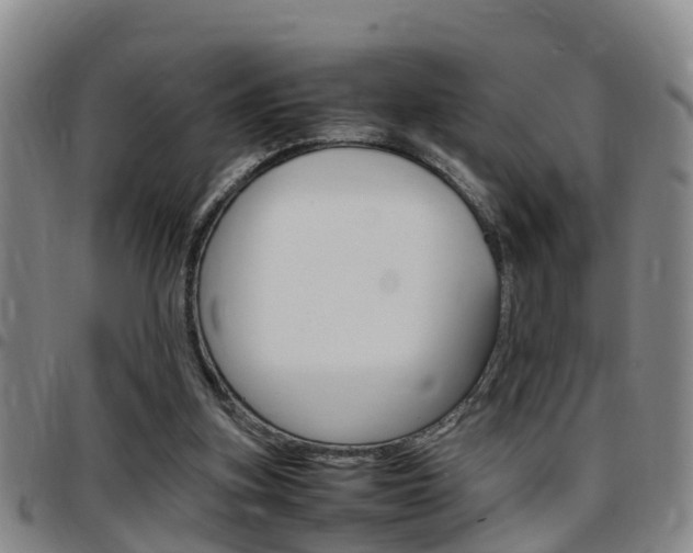 X0000097880155200803140950
