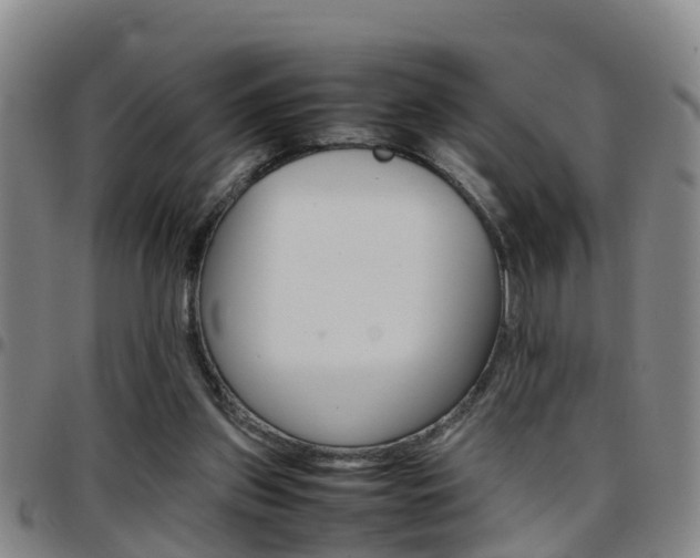 X0000097880157200803140950