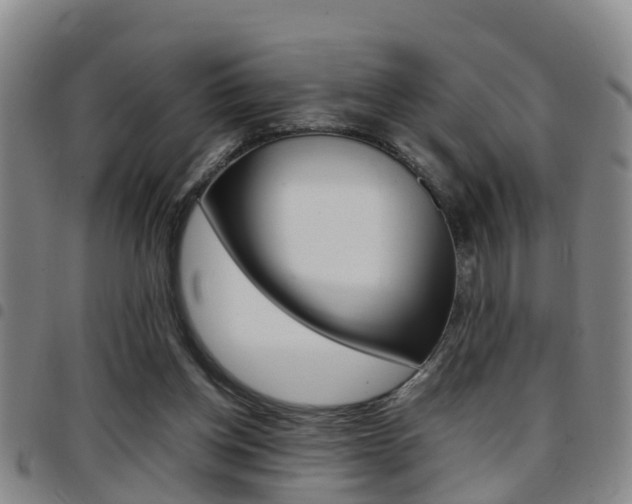 X0000097880158200803140950