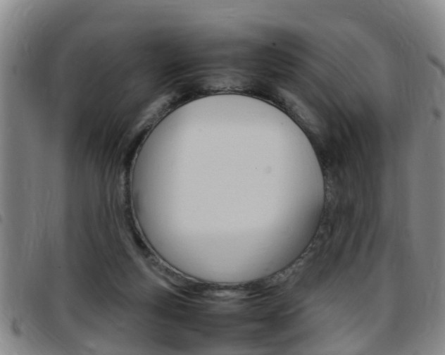 X0000097880163200803140950
