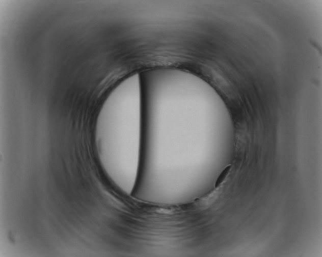 X0000097880166200803140950