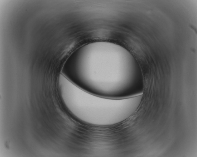 X0000097880168200803140950