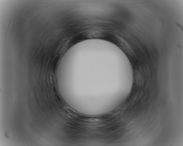 X0000097880169200803140950