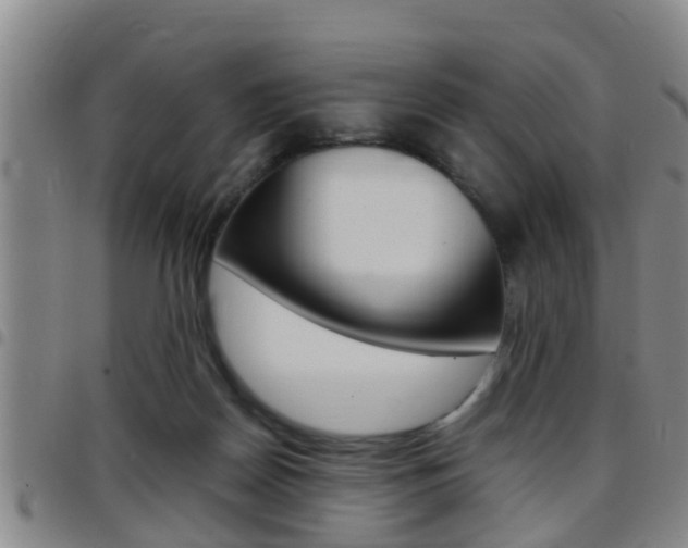 X0000097880170200803140950