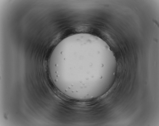 X0000097880171200803140950