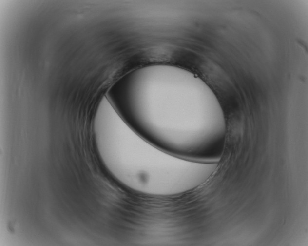 X0000097880172200803140950