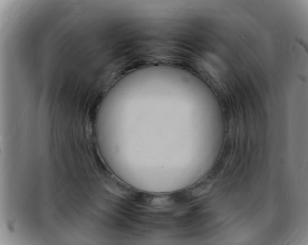 X0000097880173200803140950