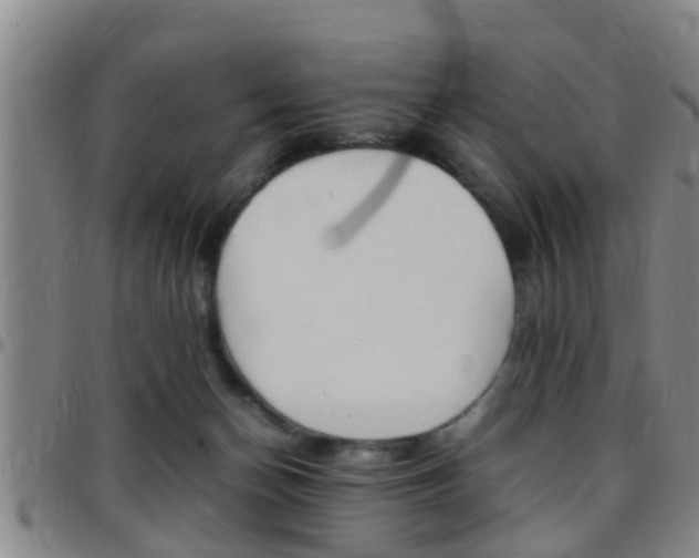 X0000097880174200803140950