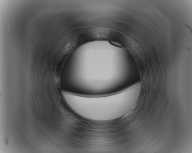 X0000097880176200803140950