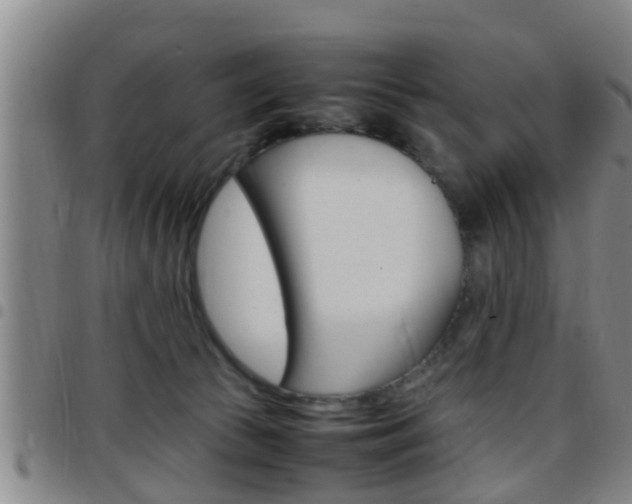 X0000097880177200803140950