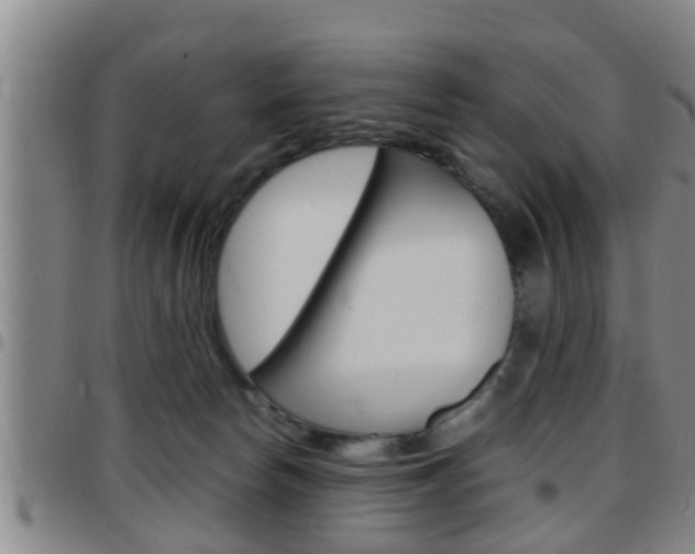 X0000097880178200803140950