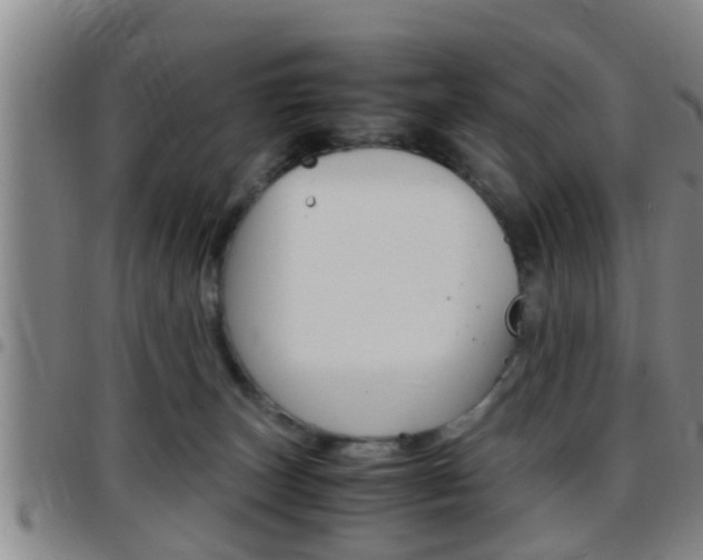 X0000097880179200803140950