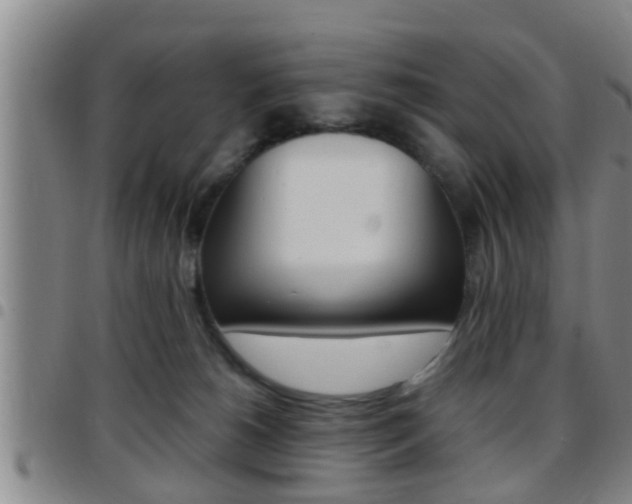 X0000097880180200803140950
