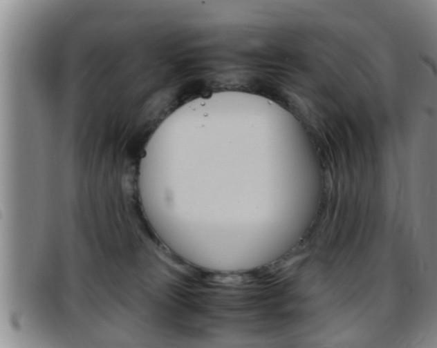 X0000097880181200803140950