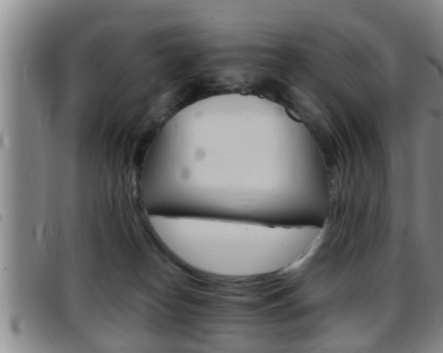 X0000097880182200803140950
