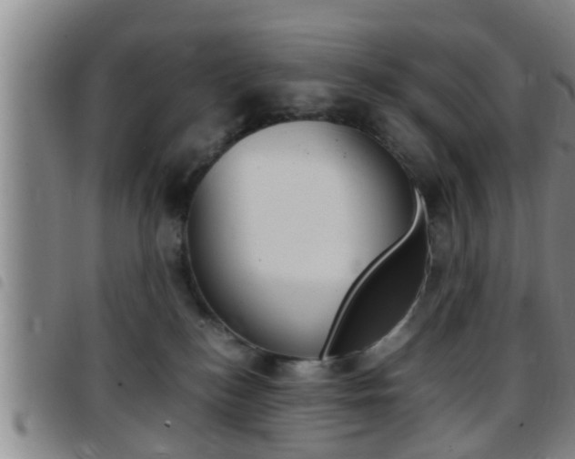 X0000097880184200803140951