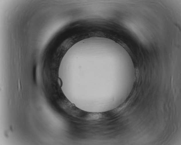 X0000097880189200803140951