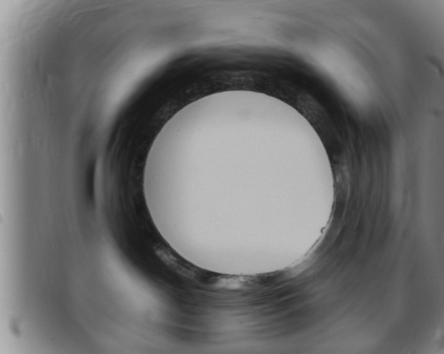 X0000097880190200803140951