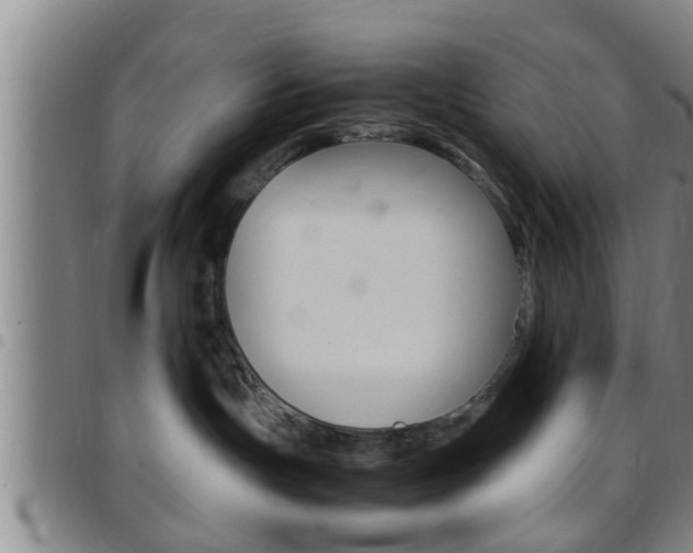 X0000097880191200803140951