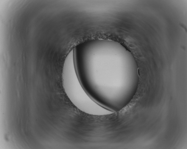 X0000097880192200803140951