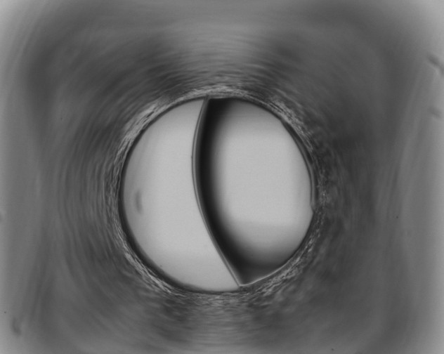 X0000097880193200803140950