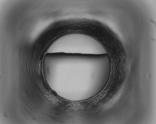 X0000097880194200803140950