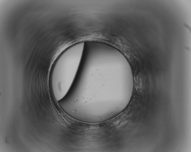 X0000097880196200803140950