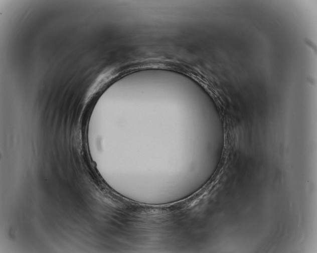 X0000097880198200803140950