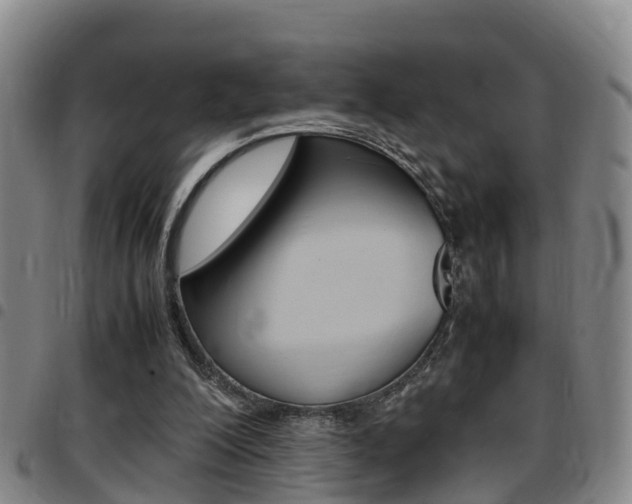 X0000097880200200803140950