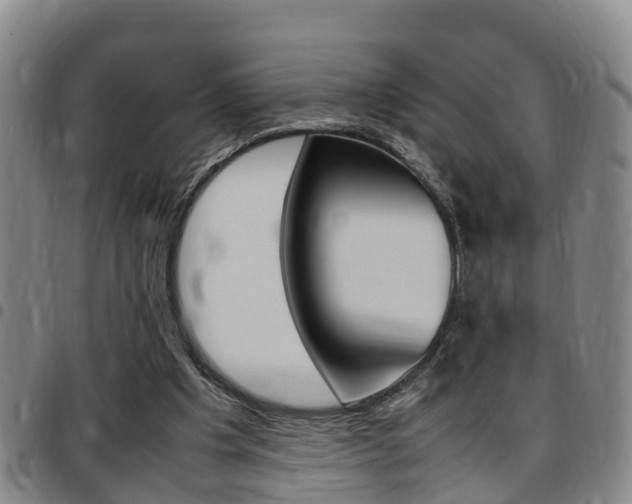 X0000097880201200803140950