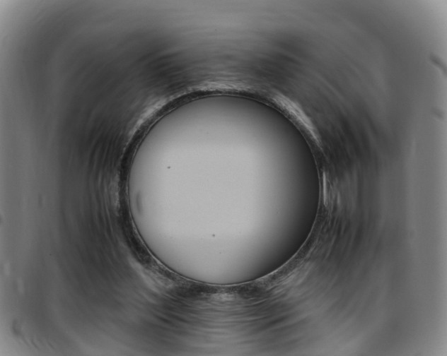 X0000097880204200803140950