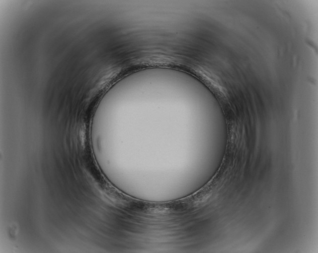 X0000097880206200803140950