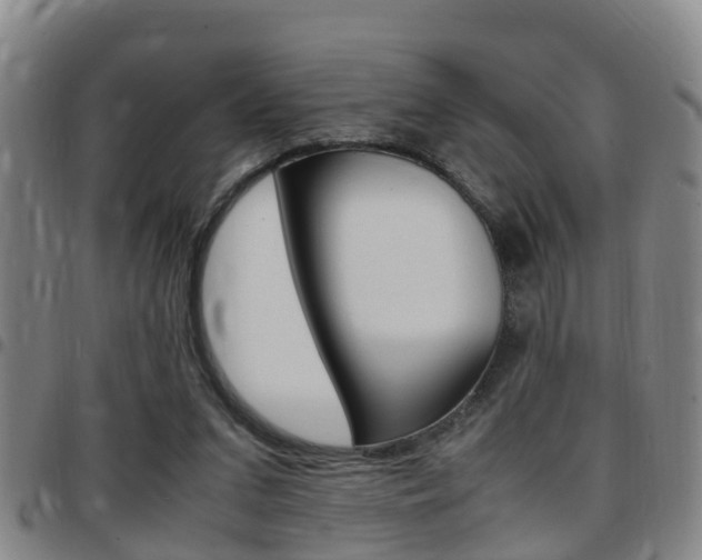 X0000097880207200803140950