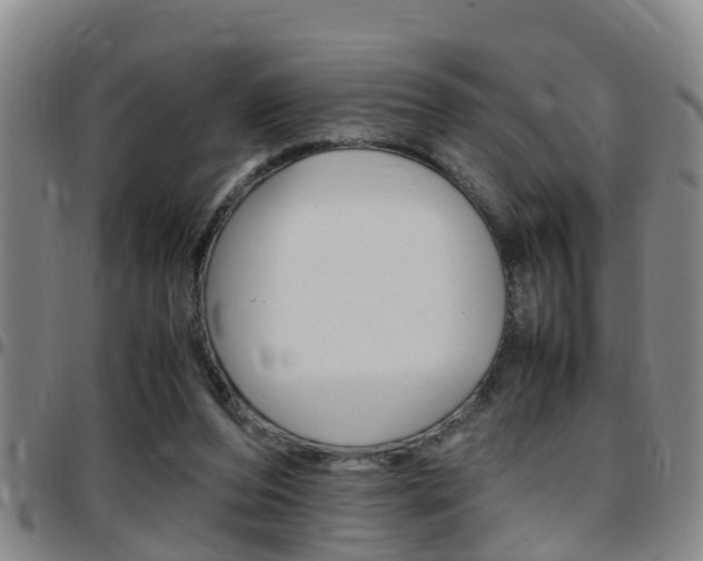 X0000097880208200803140950