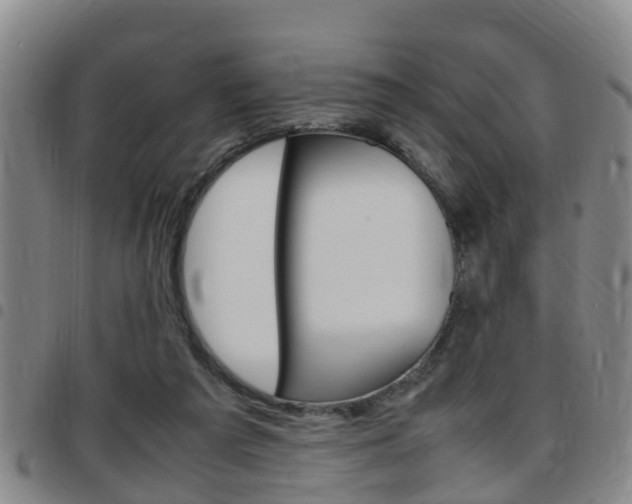 X0000097880209200803140950