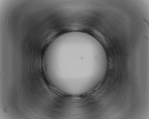 X0000097880210200803140950