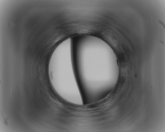 X0000097880211200803140950